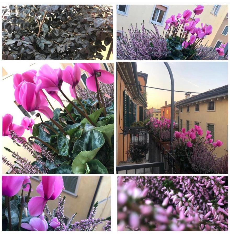 Veronantica B&B Exteriér fotografie